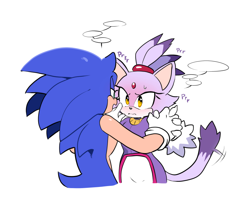 Blaze The Cat (Sonic (Series)) Rule 34 Image