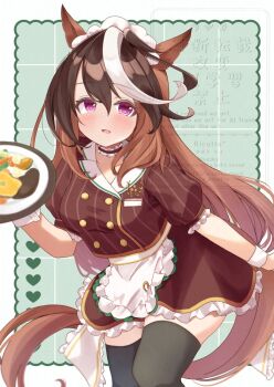 Symboli Rudolf (Umamusume) Rule 34 Image