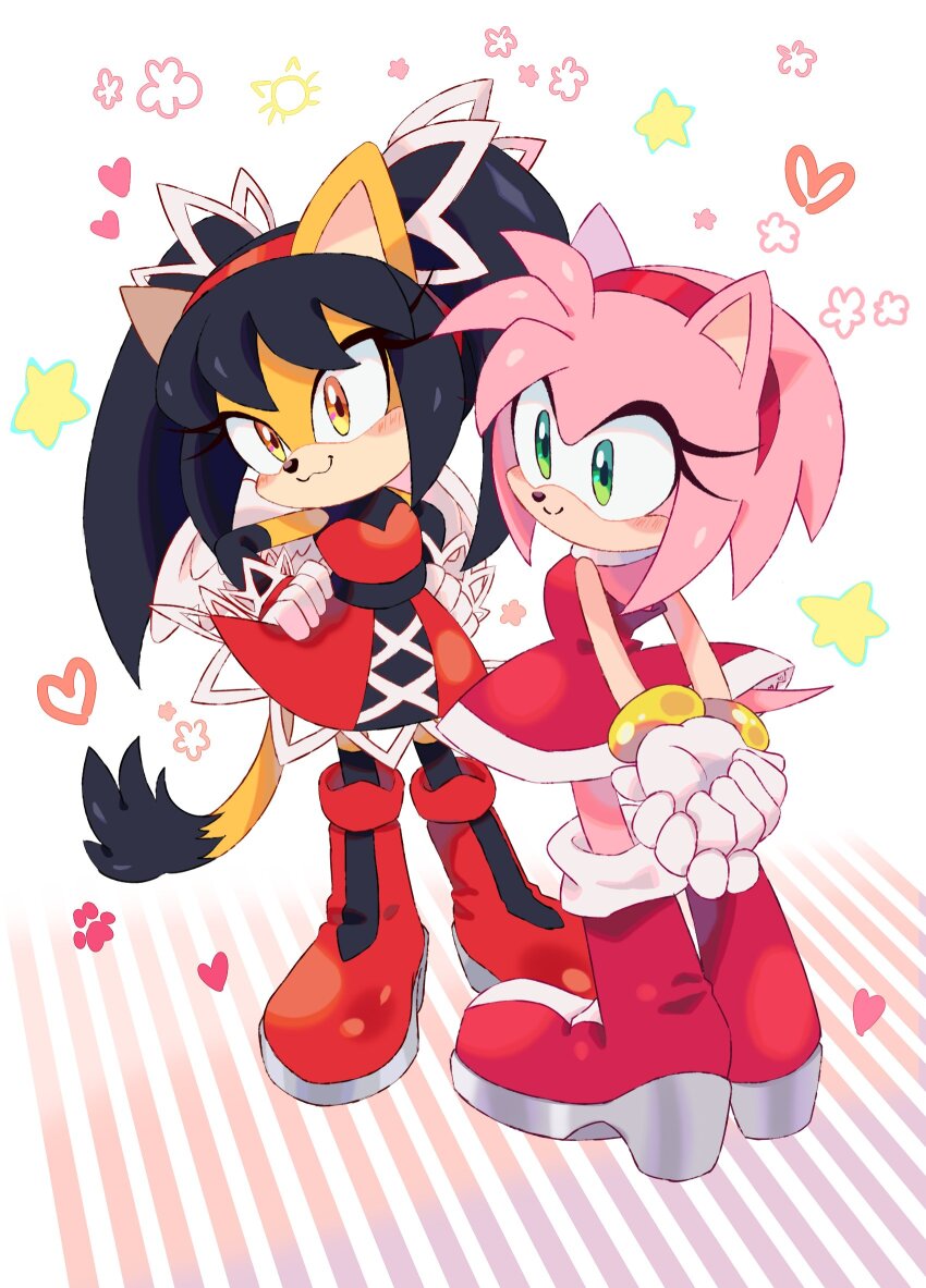 Amy Rose (Sonic (Series)) Rule 34 Image