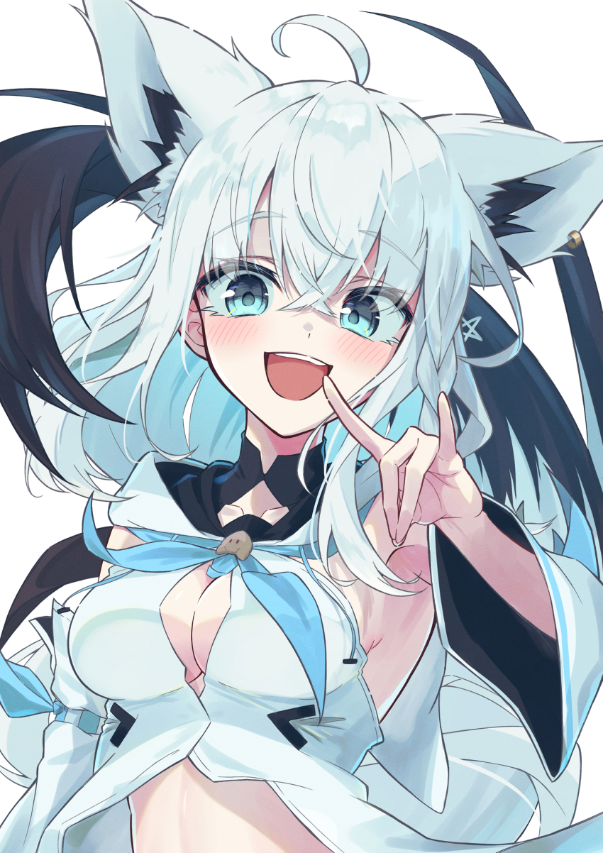 Shirakami Fubuki (Hololive) Rule 34 Image
