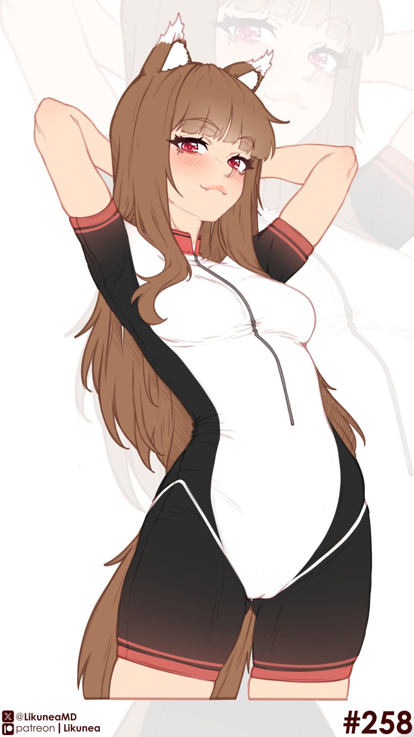 Holo (Spice And Wolf) Rule 34 Image