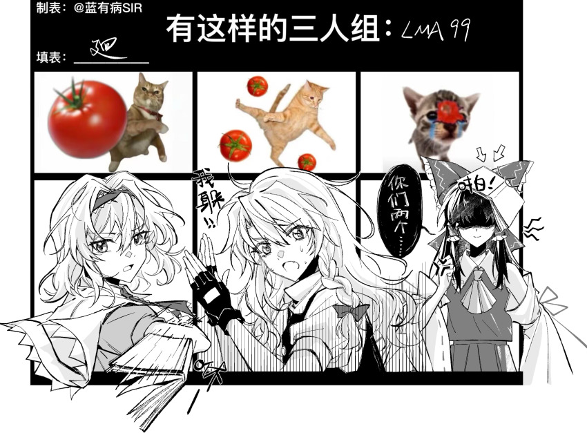 Alice Margatroid (Touhou) Rule 34 Image