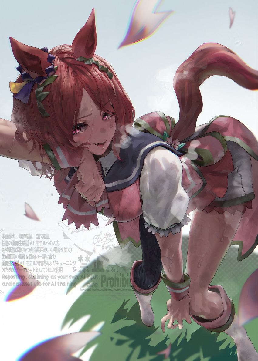 Sakura Laurel (Umamusume) Rule 34 Image