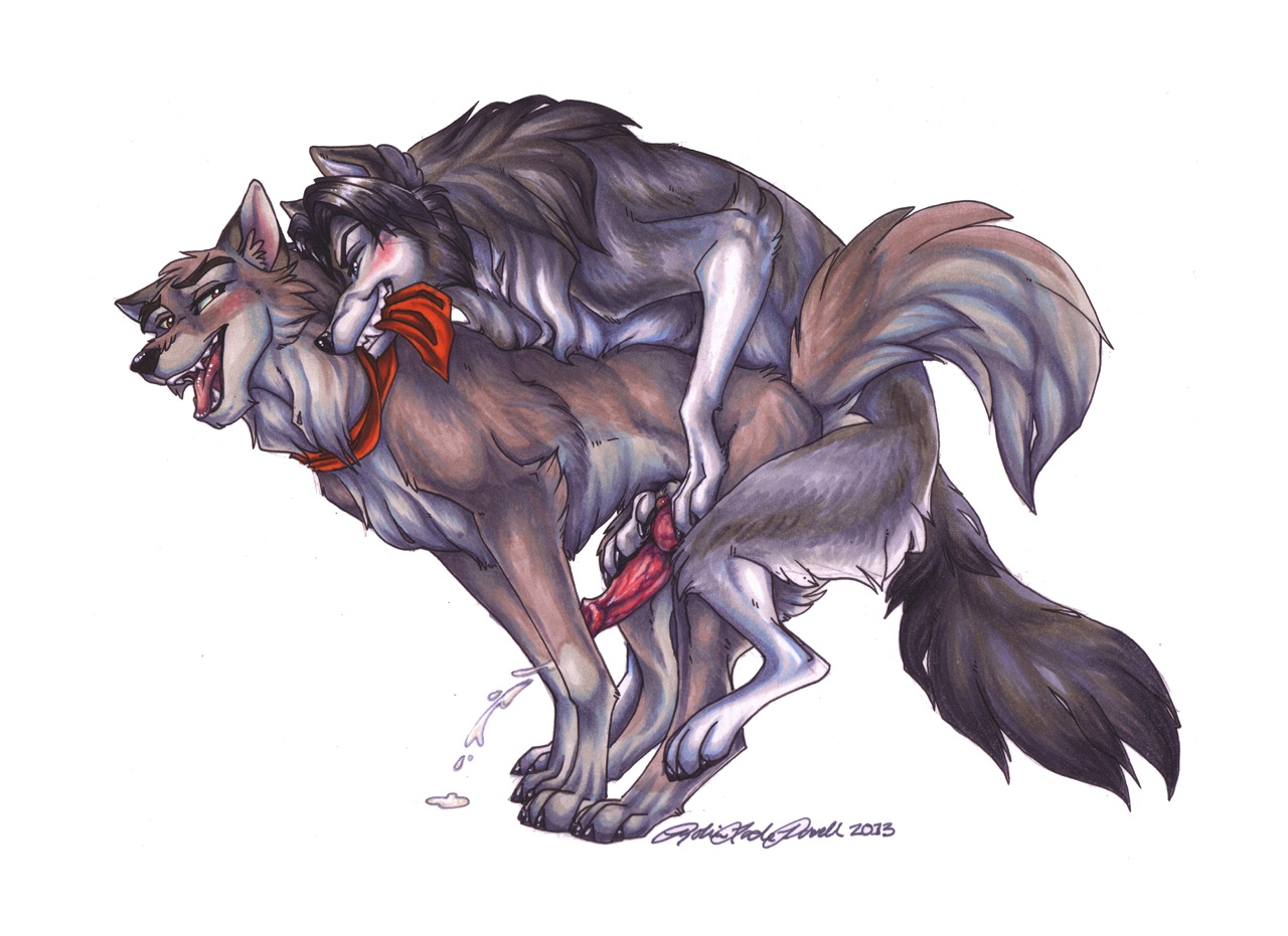 Balto (Alpha And Omega) Rule 34 Image