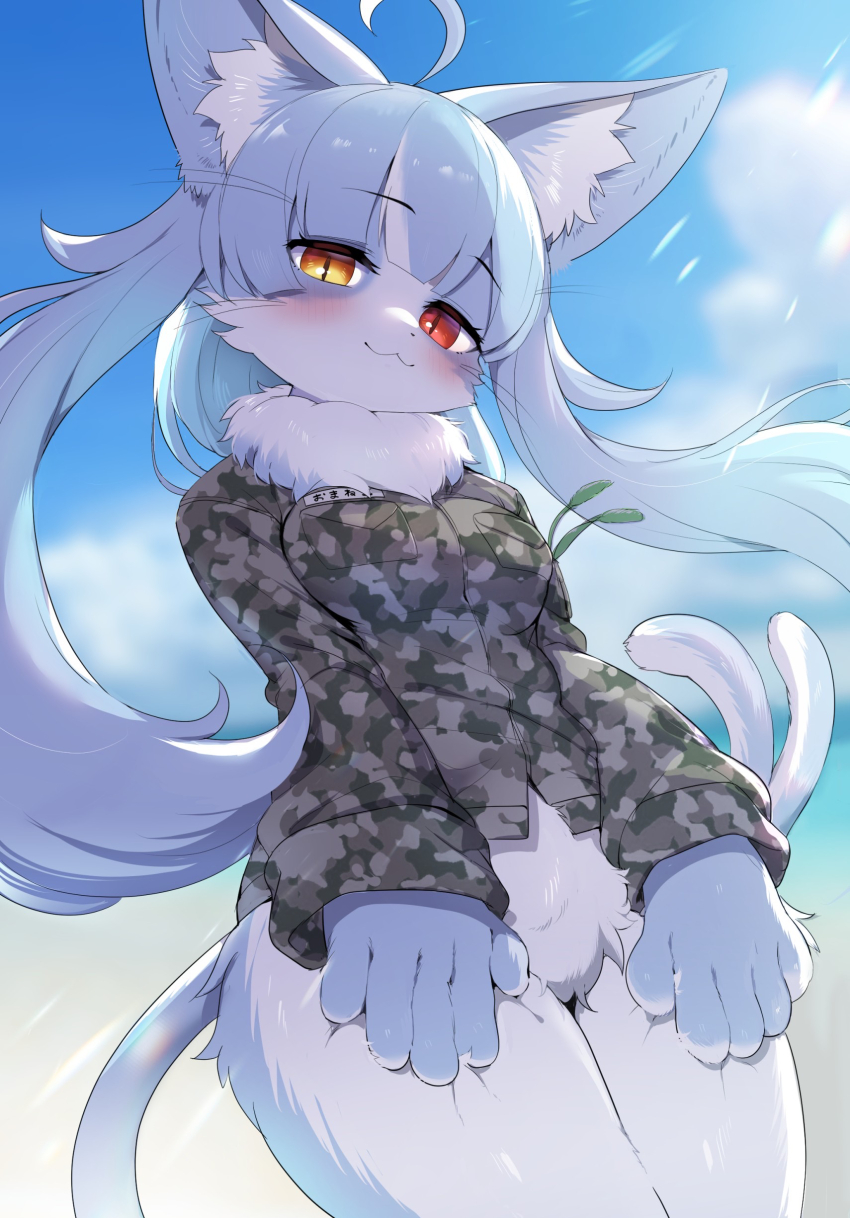 Japan Air Self-Defense Force Rule 34 Image