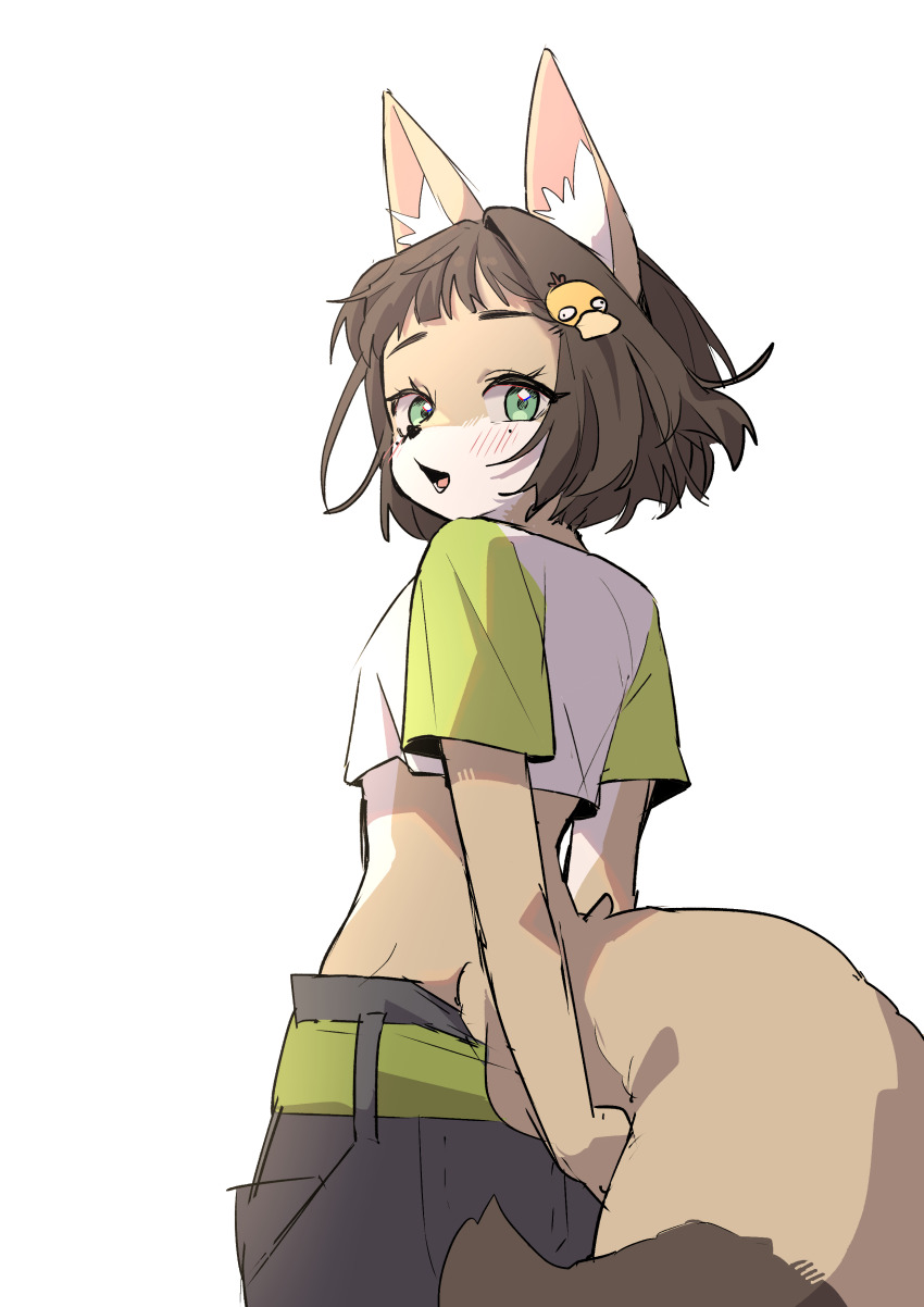 Gen 1 Pokemon (Original) Rule 34 Image