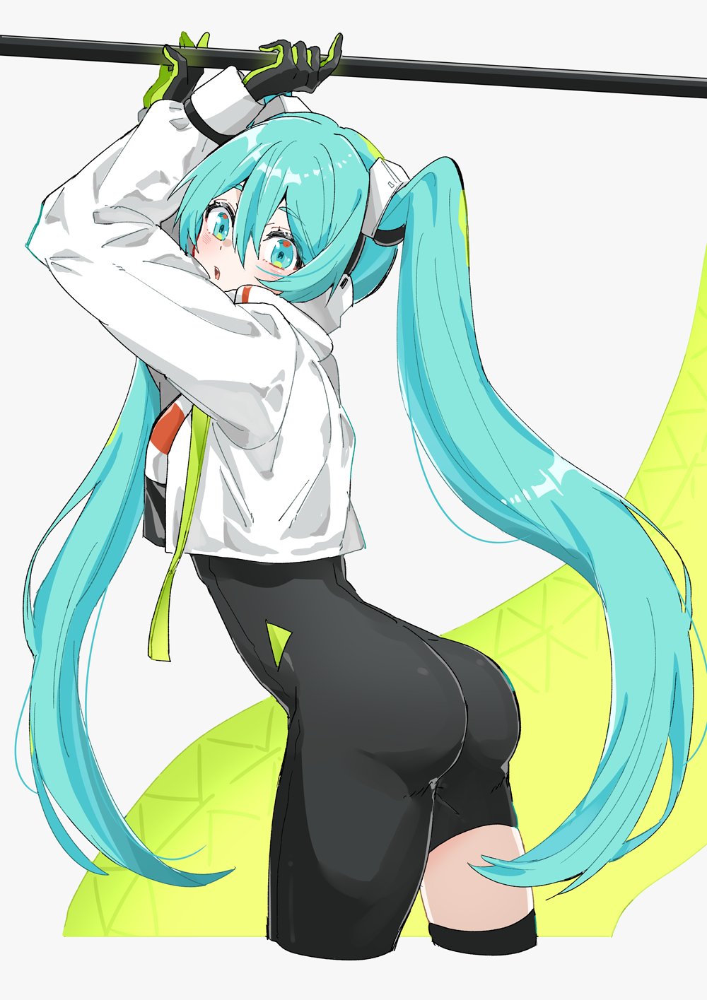 Hatsune Miku (Goodsmile Company) Rule 34 Image