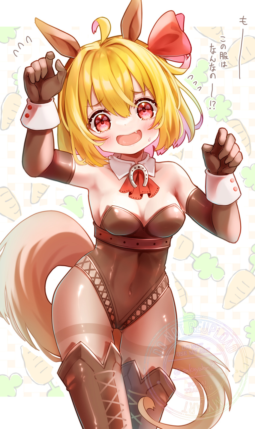 Rumia (Touhou) Rule 34 Image