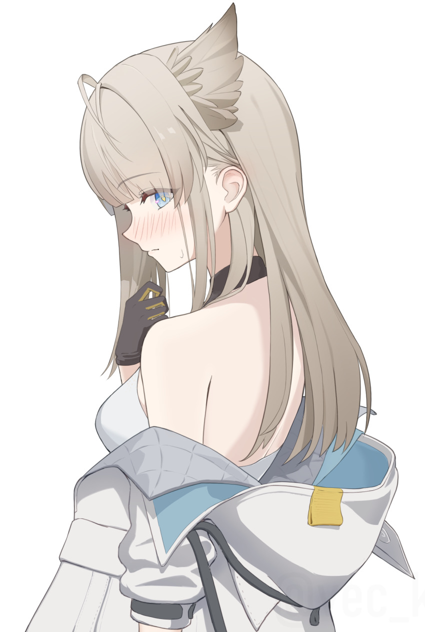 Perlica (Arknights) Rule 34 Image