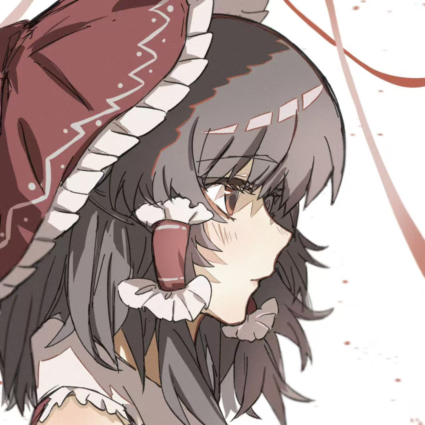Hakurei Reimu (Touhou) Rule 34 Image