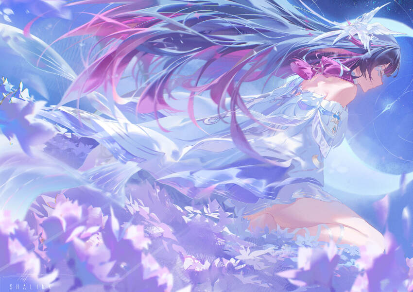 Columbina (Genshin Impact) Rule 34 Image