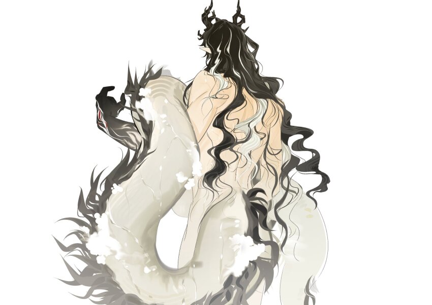 Wang (Arknights) Rule 34 Image