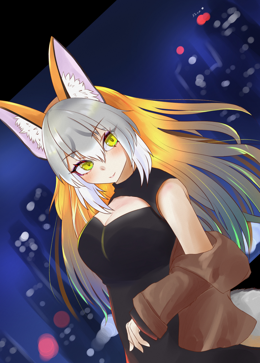 Island Fox (Kemono Friends) Rule 34 Image