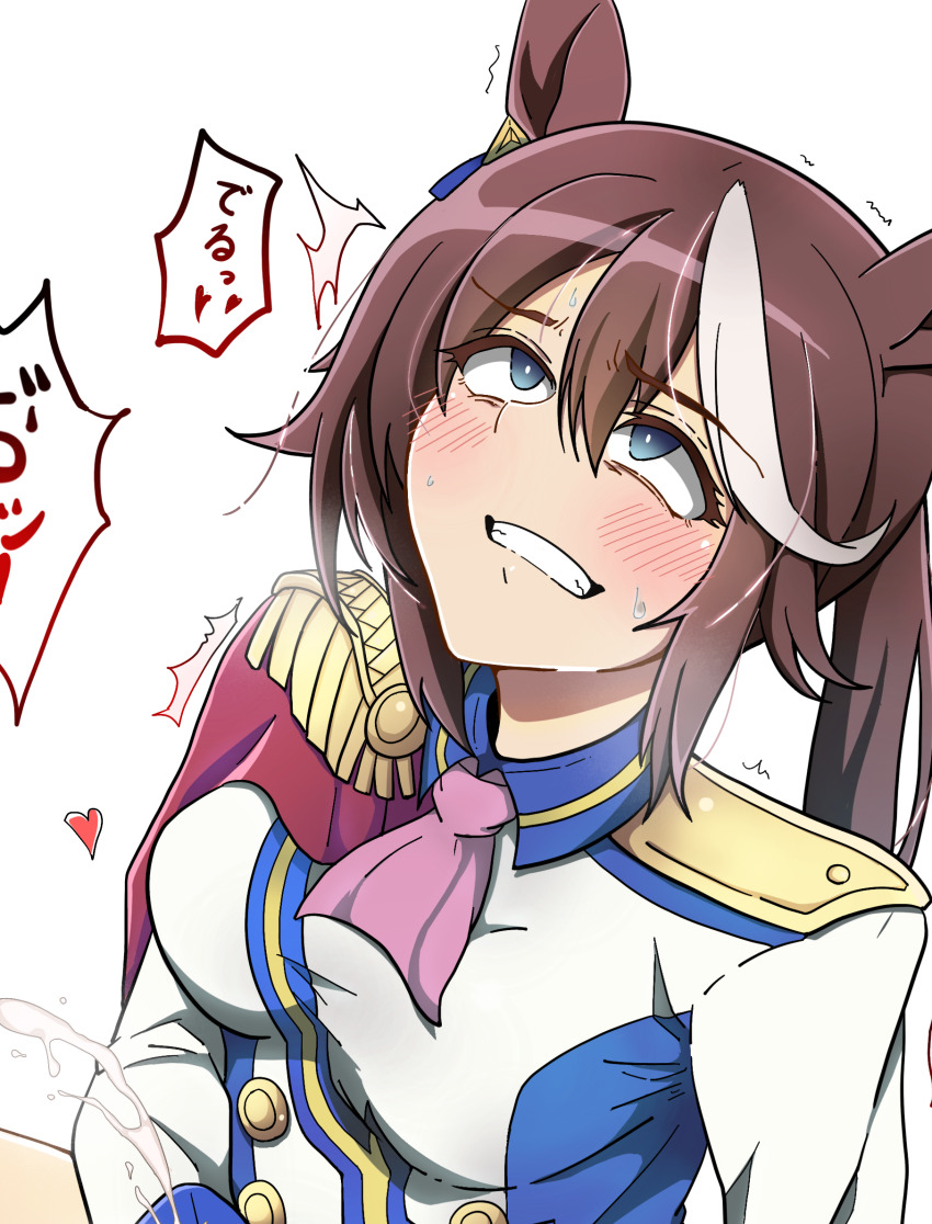 Tokai Teio (Umamusume) Rule 34 Image