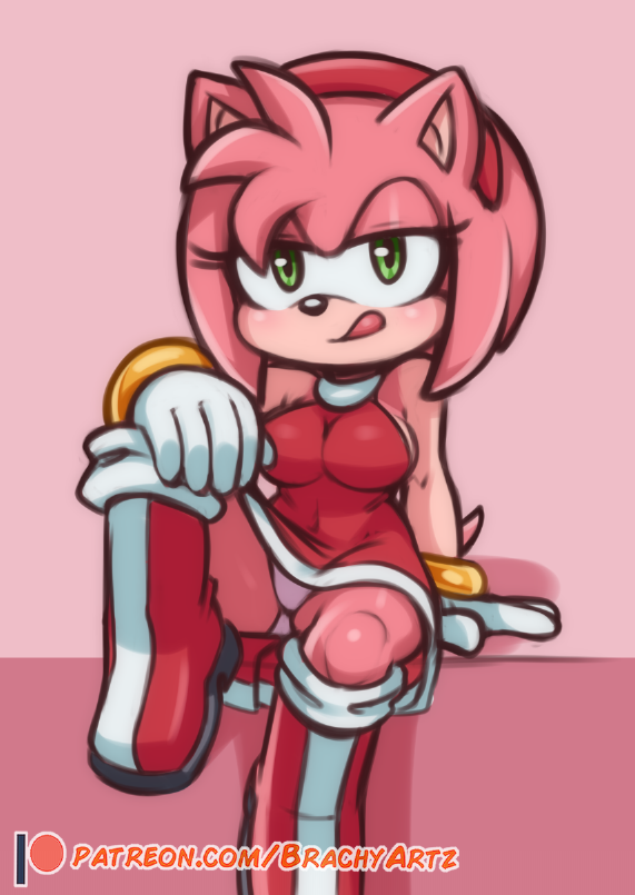 Amy Rose (Sonic (Series)) Rule 34 Image