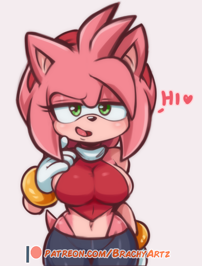 Amy Rose (Sonic (Series)) Rule 34 Image