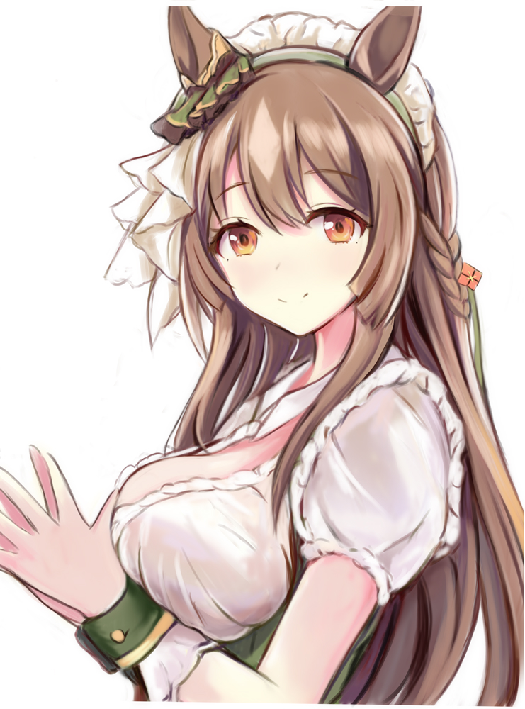 Satono Diamond (Umamusume) Rule 34 Image