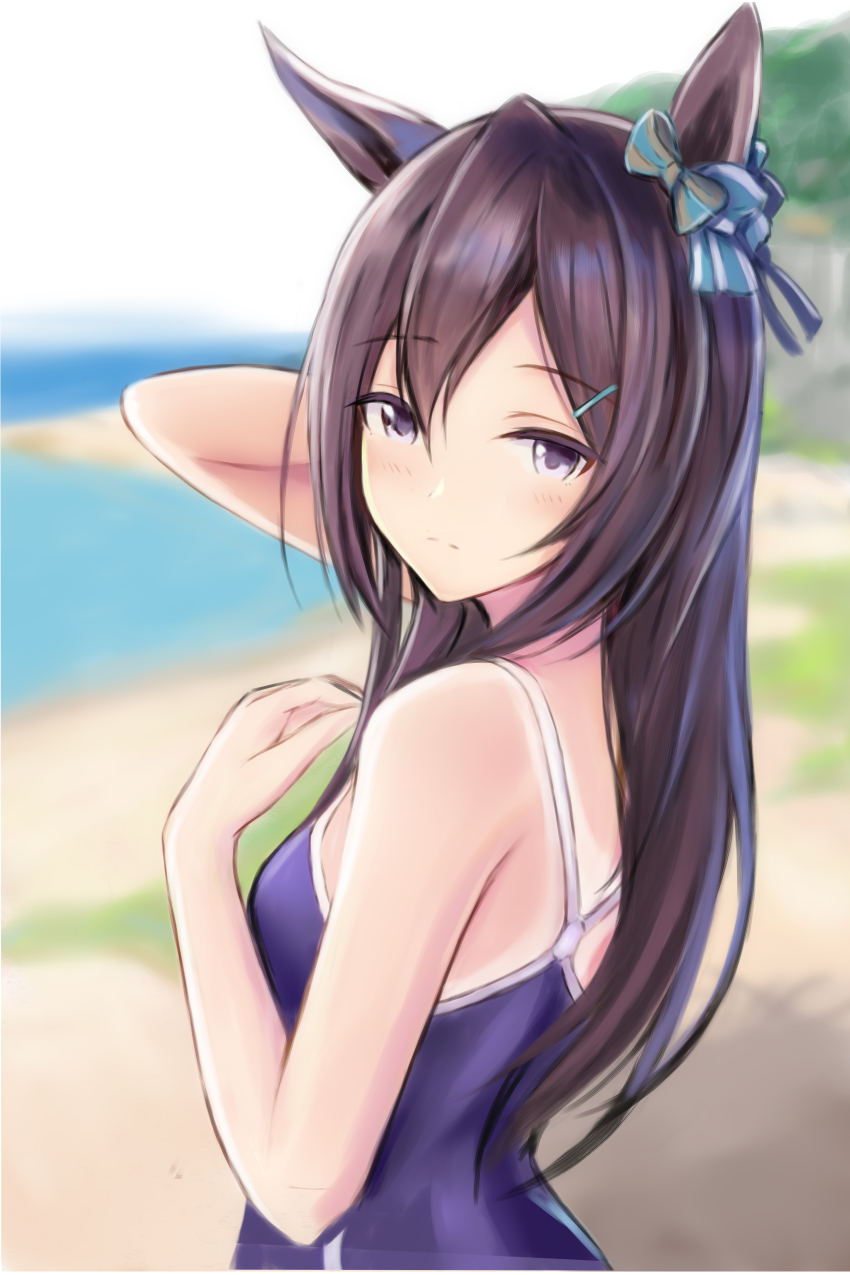 Mejiro Dober (Umamusume) Rule 34 Image