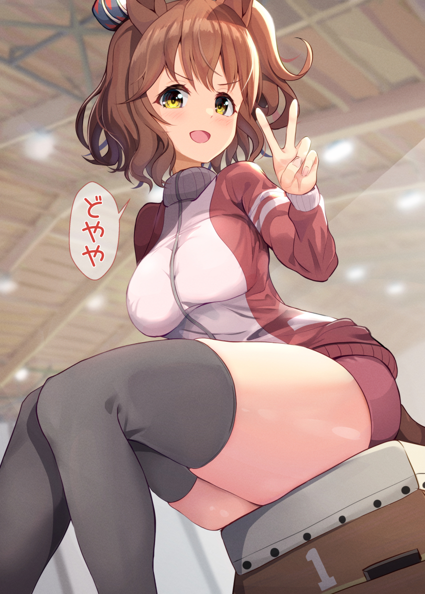 Aston Machan (Umamusume) Rule 34 Image