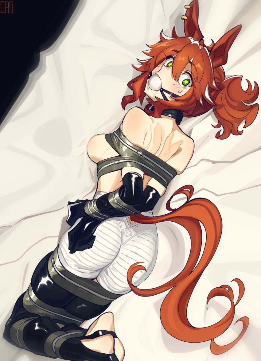 Umamusume Rule 34 Image