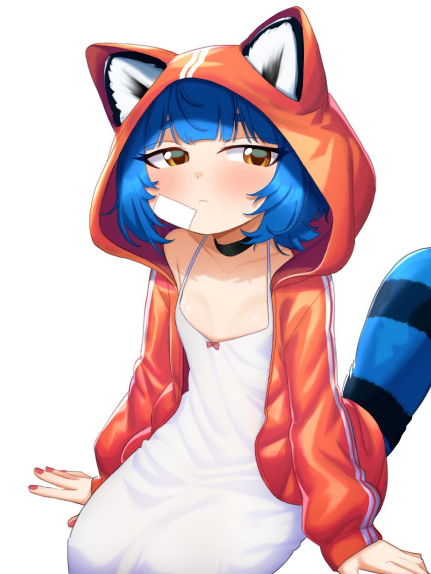 Poko Rakun (Original) Rule 34 Image