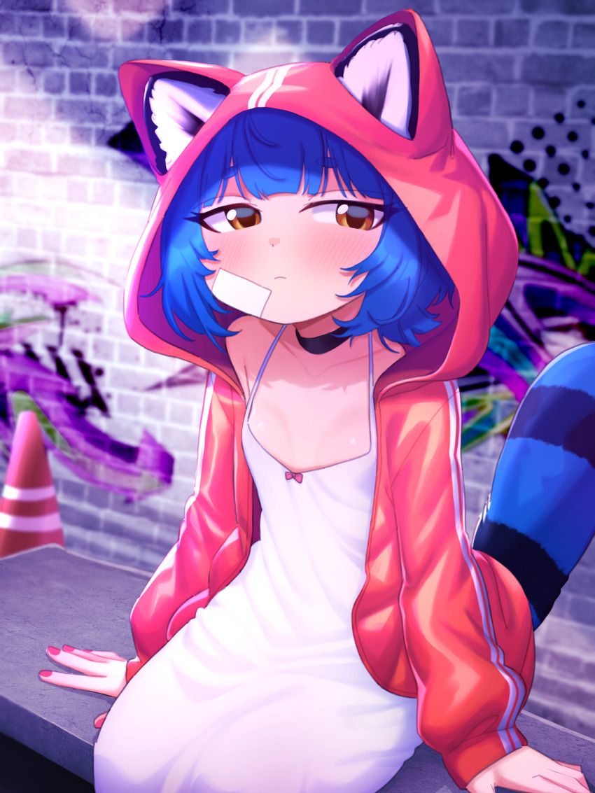 Poko Rakun (Original) Rule 34 Image
