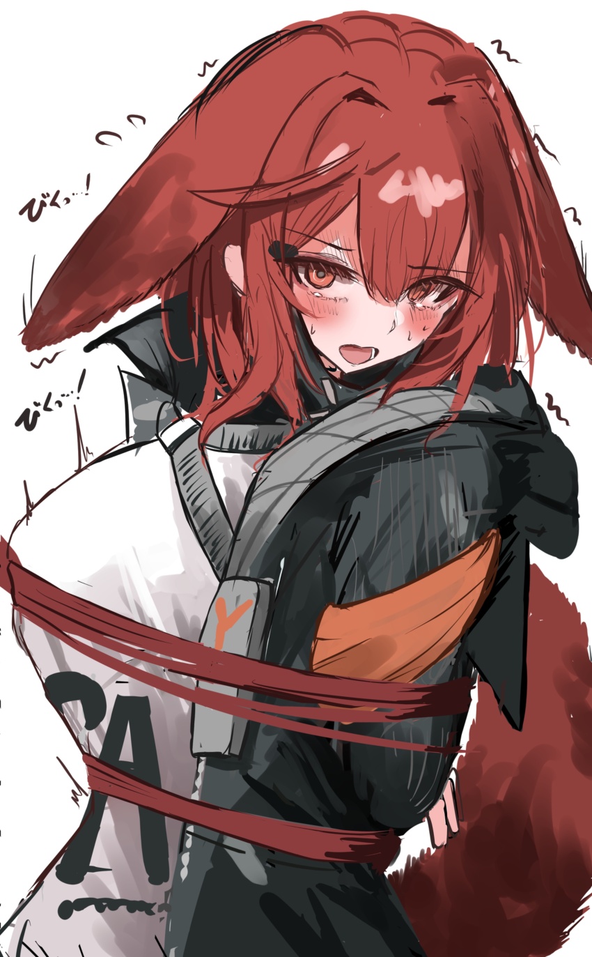 Crownslayer (Arknights) Rule 34 Image