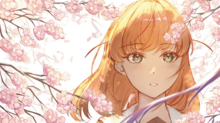 Hinoshita Kaho (Link! Like! Love Live!) Rule 34 Image
