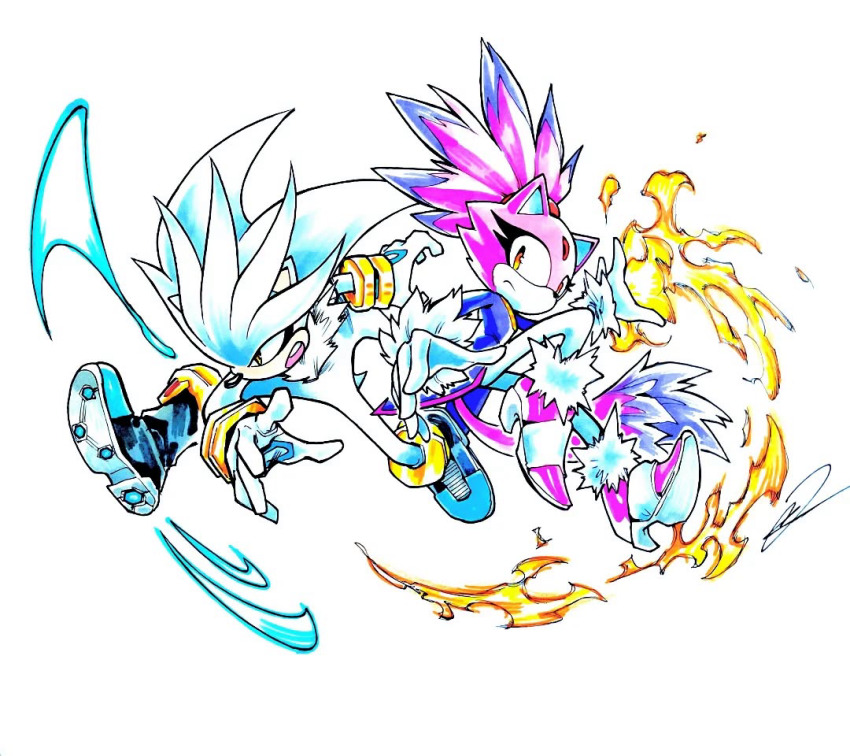 Blaze The Cat (Sonic (Series)) Rule 34 Image