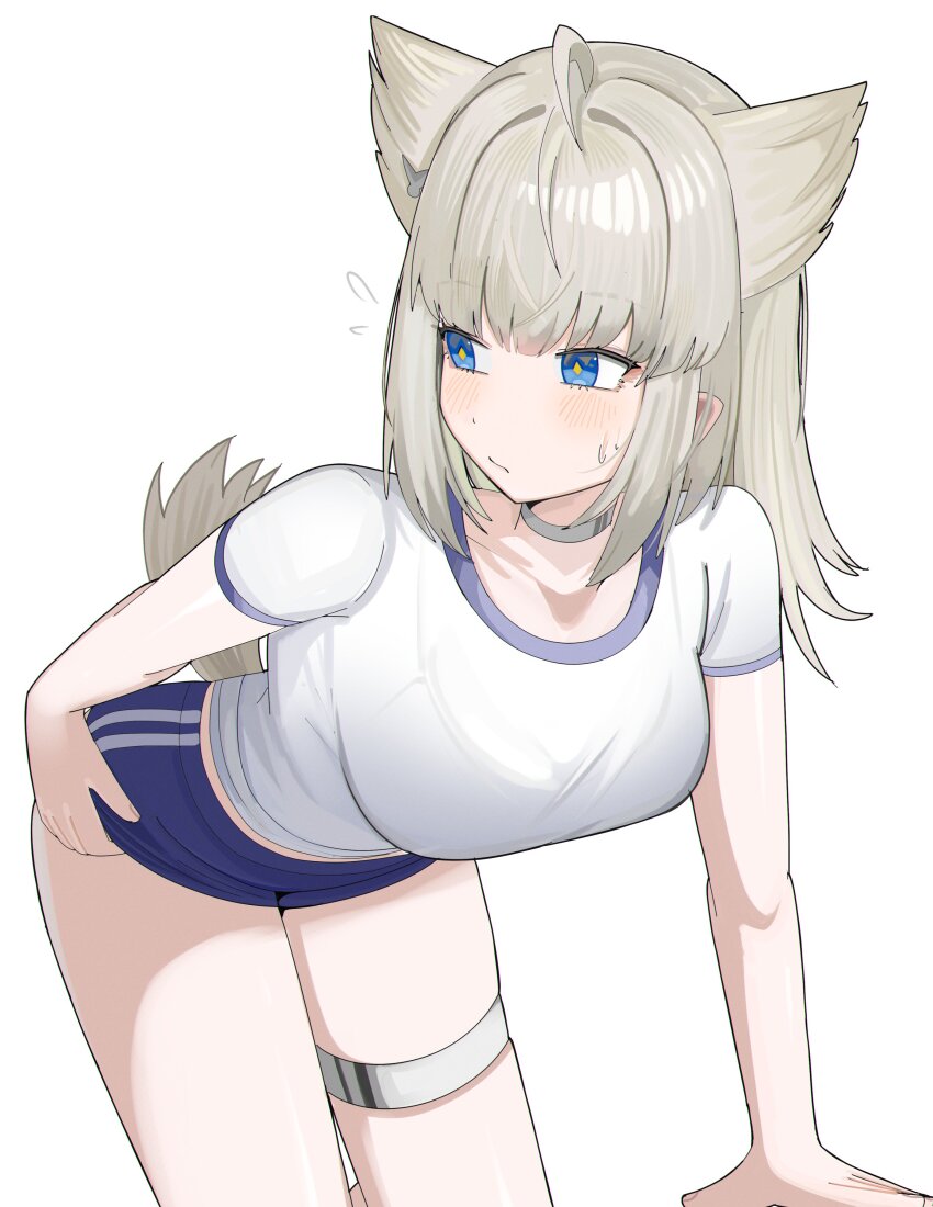 Perlica (Arknights) Rule 34 Image