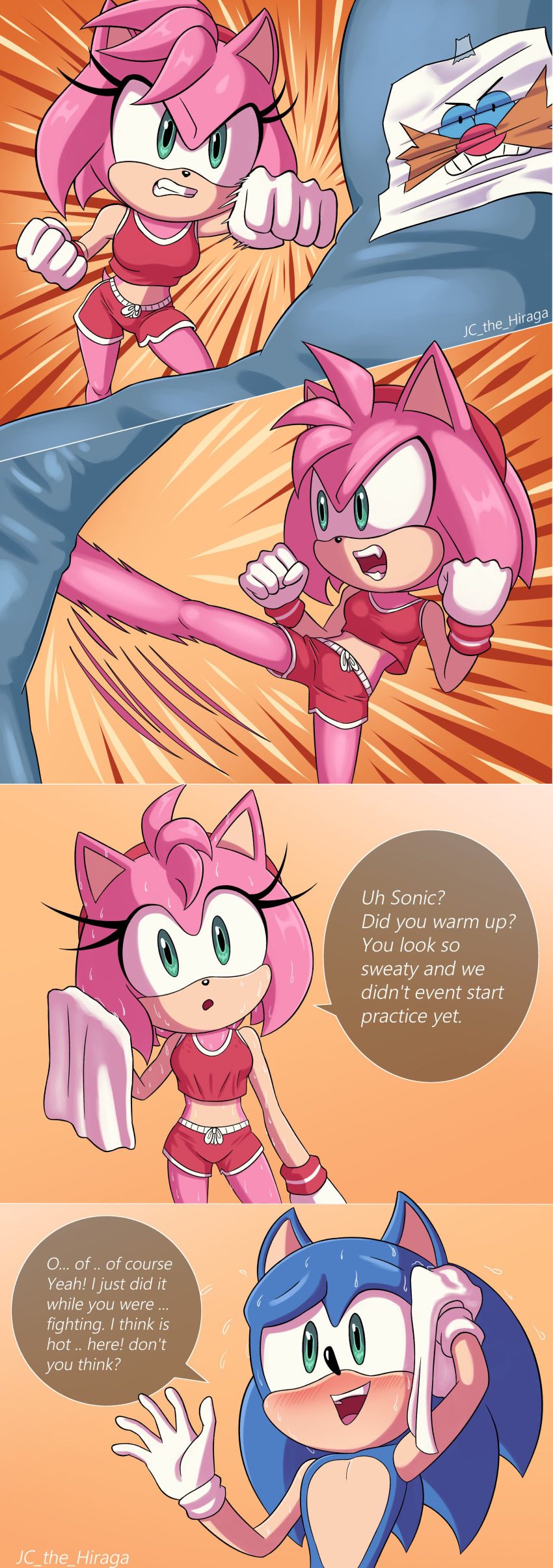 Amy Rose (Sega) Rule 34 Image