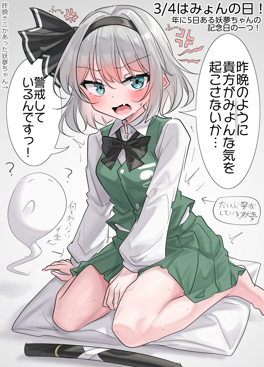 Konpaku Youmu (Touhou) Rule 34 Image