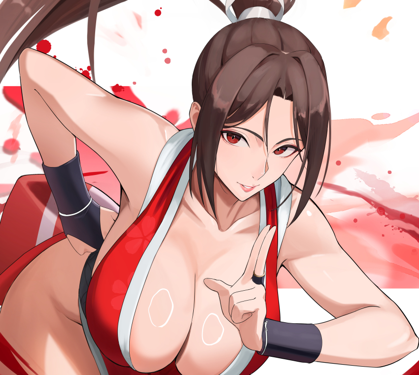 Fatal Fury Rule 34 Image