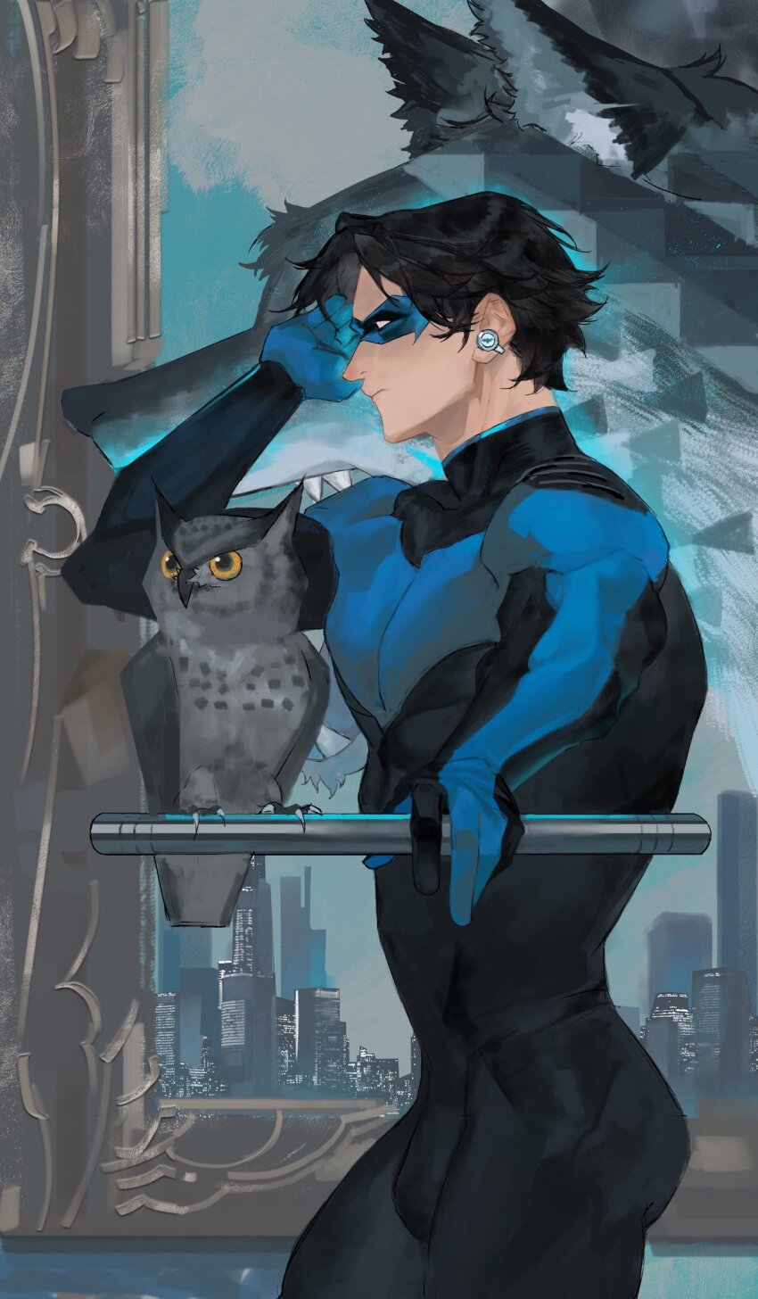 Nightwing (Batman (Series)) Rule 34 Image