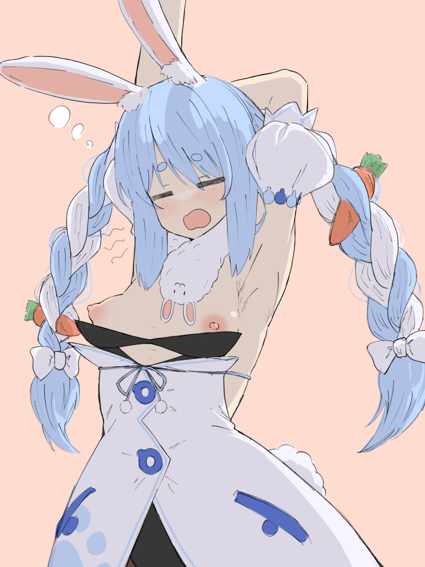 Don-Chan (Usada Pekora) Rule 34 Image