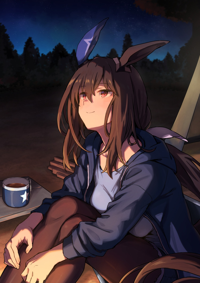 Admire Vega (Umamusume) Rule 34 Image