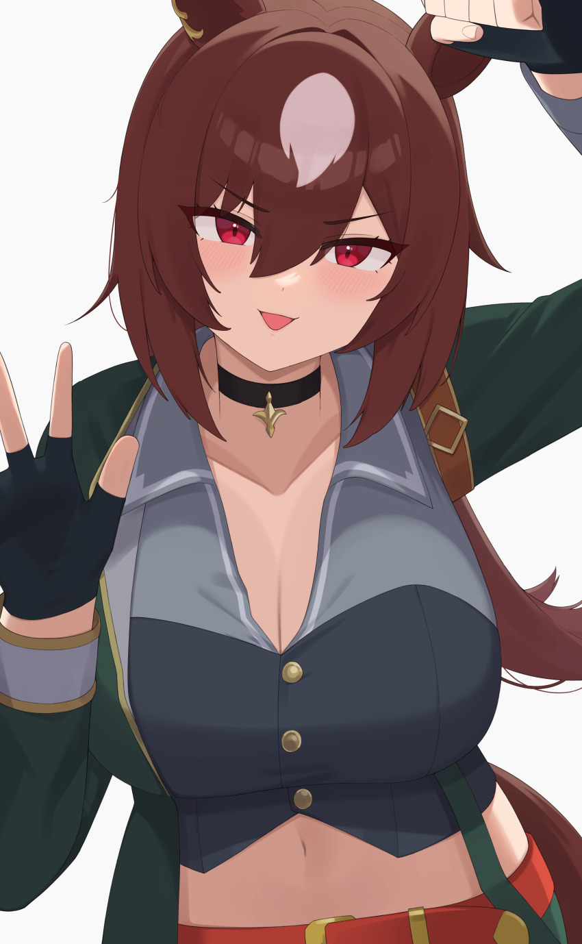 Sirius Symboli (Umamusume) Rule 34 Image
