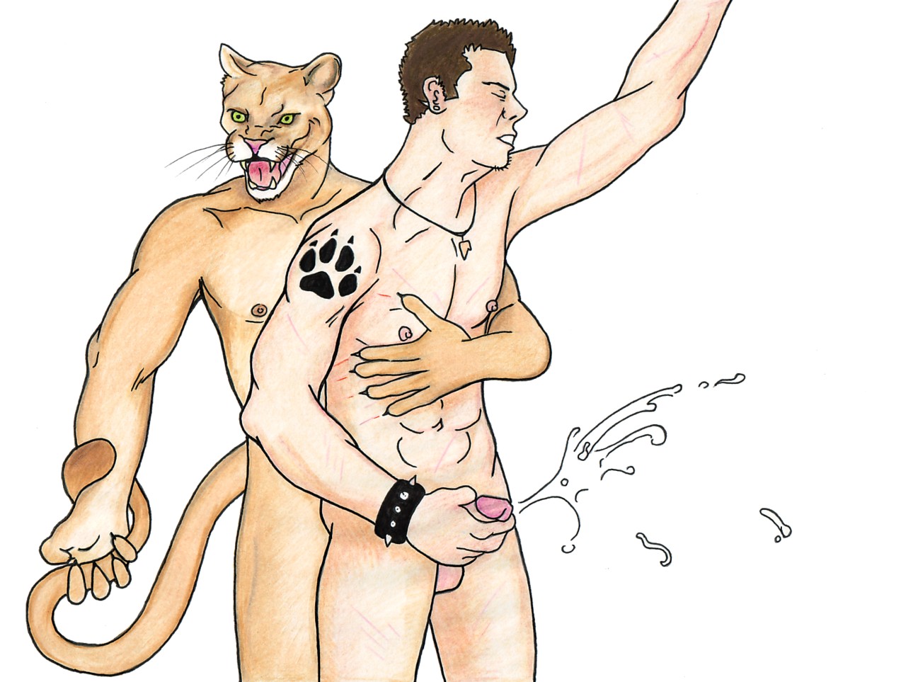 Anal Rule 34 Image