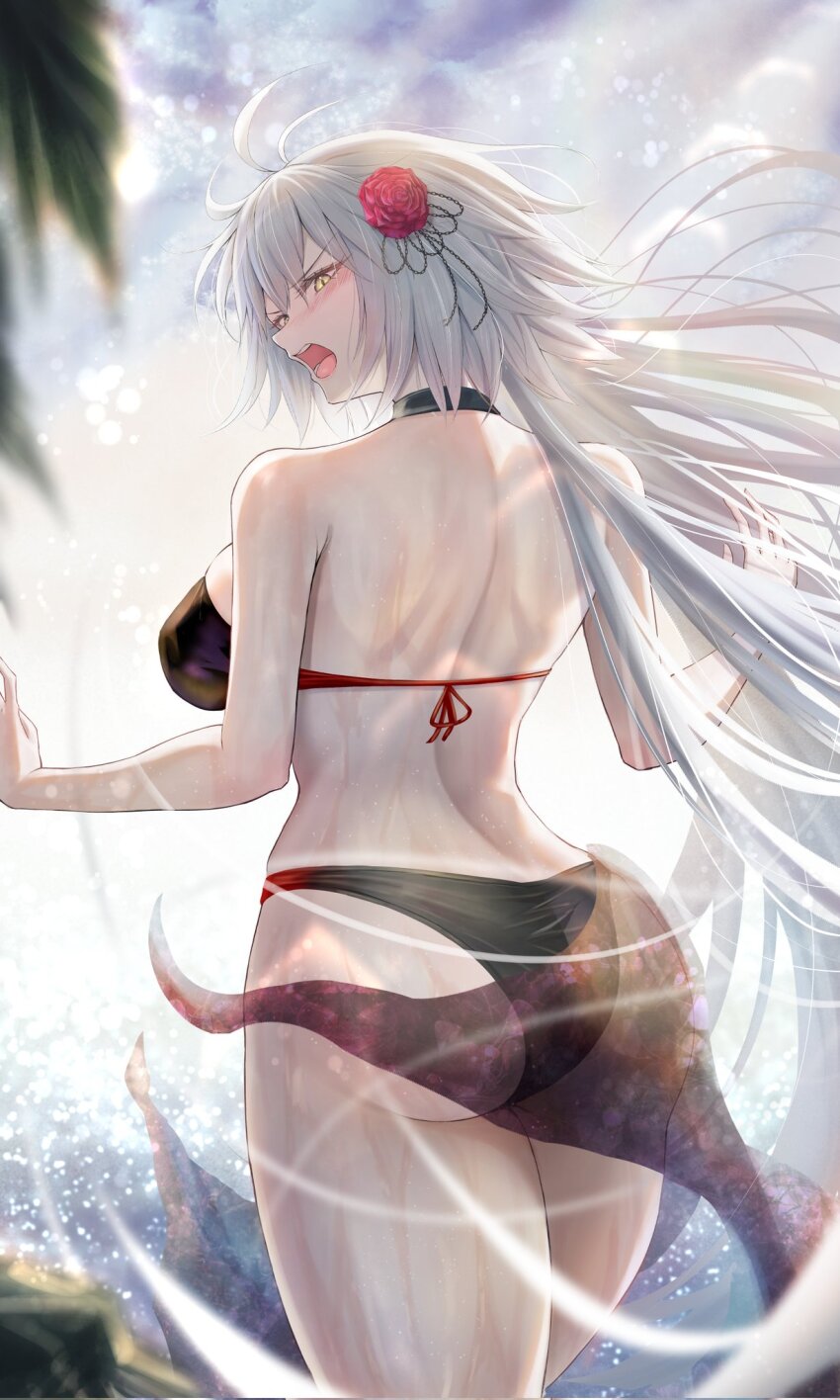 Jeanne D'Arc Alter (Fate) Rule 34 Image