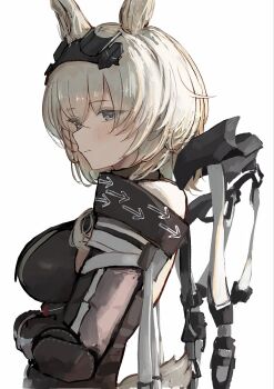 Avywenna (Arknights) Rule 34 Image