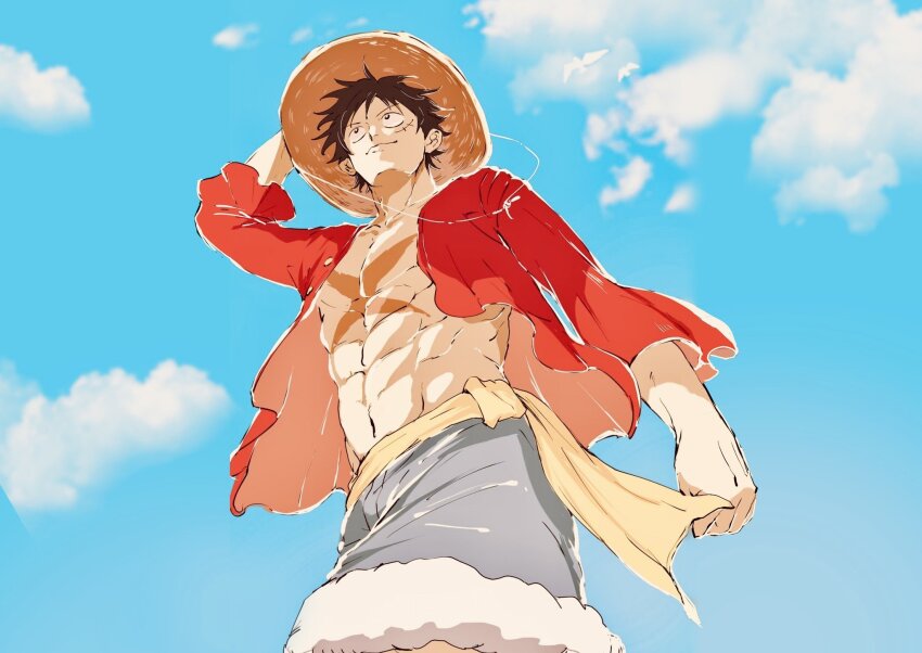 Monkey D. Luffy Rule 34 Image