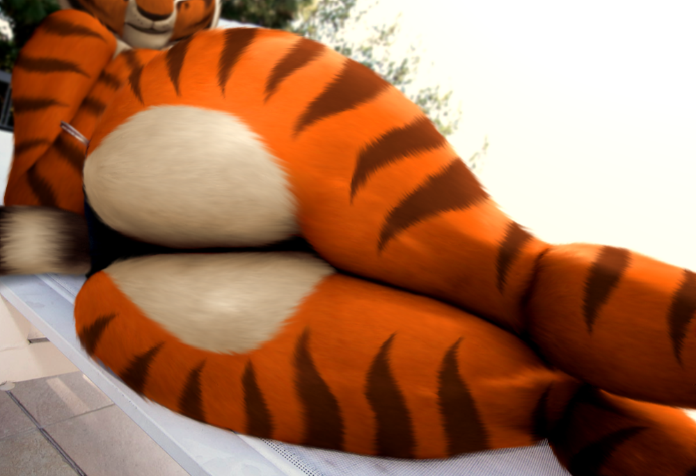 Master Tigress (Kung Fu Panda) Rule 34 Image