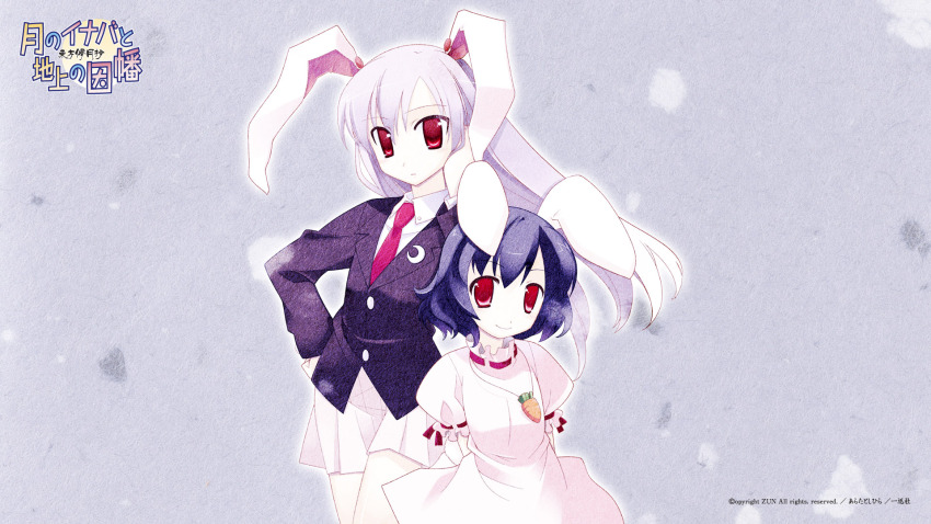 Inaba Tewi (Touhou) Rule 34 Image
