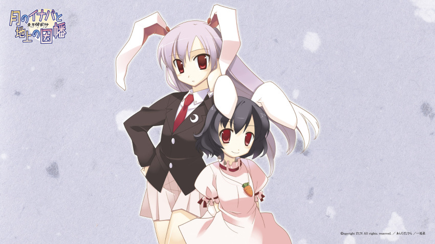 Inaba Tewi (Touhou) Rule 34 Image