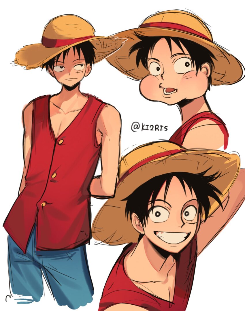 Monkey D. Luffy Rule 34 Image