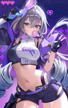 Honkai (Series) Rule 34 Image