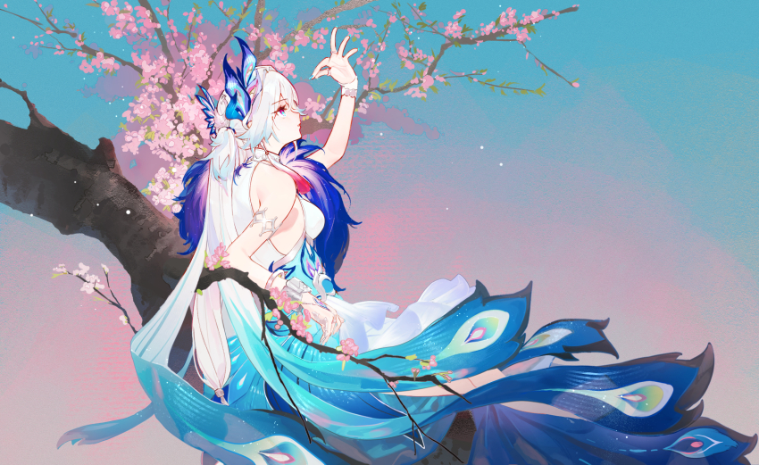 Yao Guang (Honkai: Star Rail) Rule 34 Image