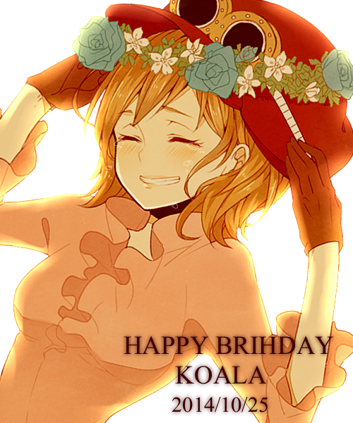Koala (One Piece) Rule 34 Image