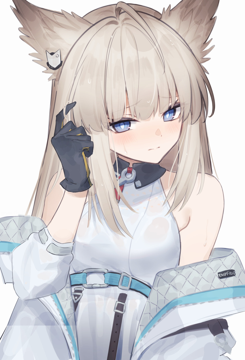 Perlica (Arknights) Rule 34 Image