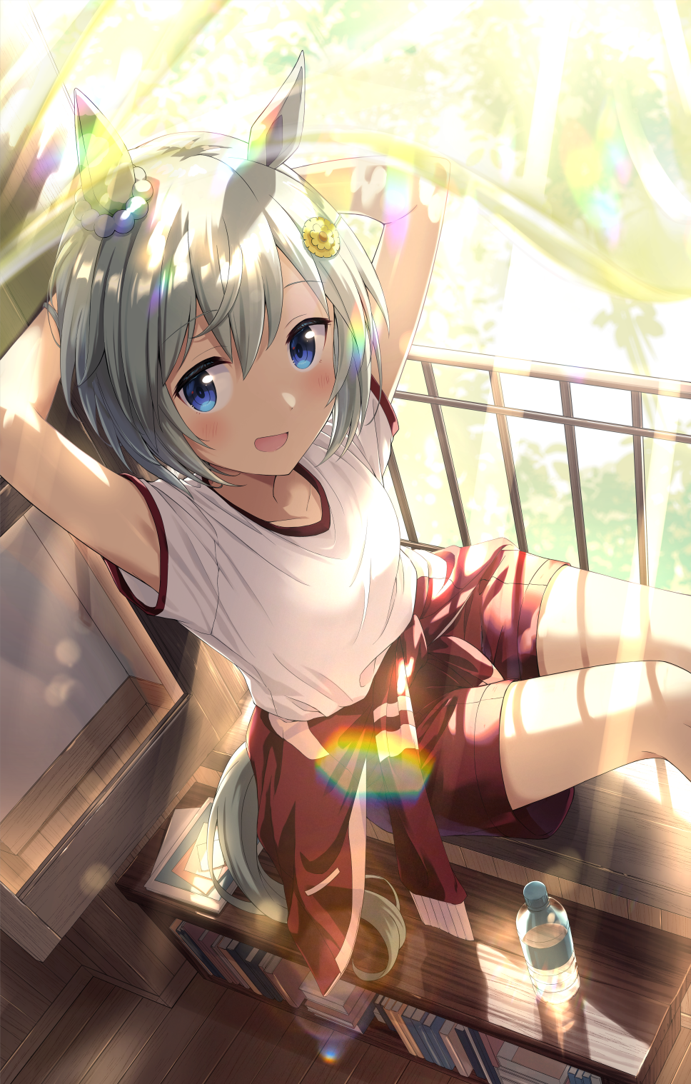 Seiun Sky (Umamusume) Rule 34 Image